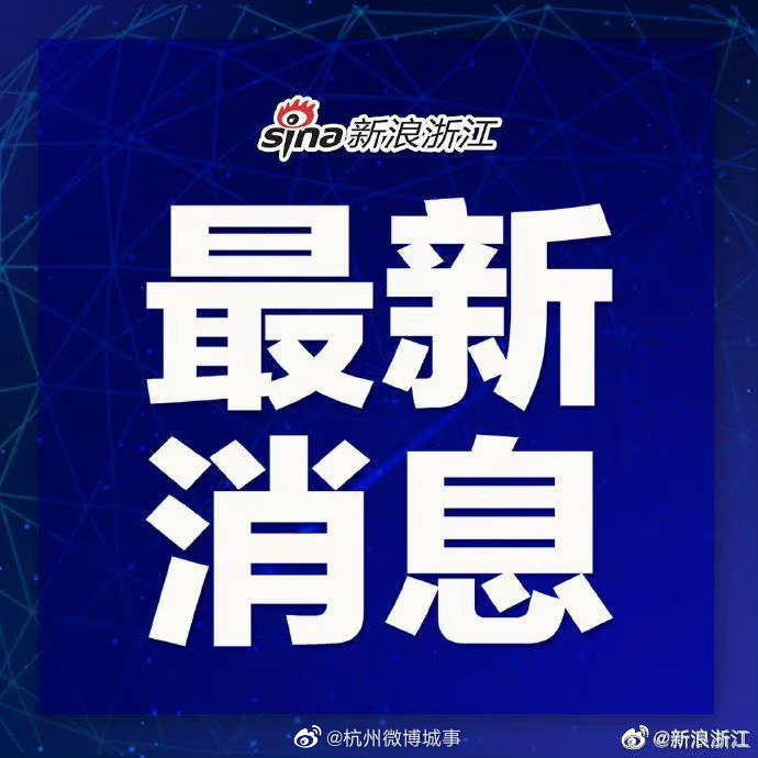 最新动态深度解析与观点阐述