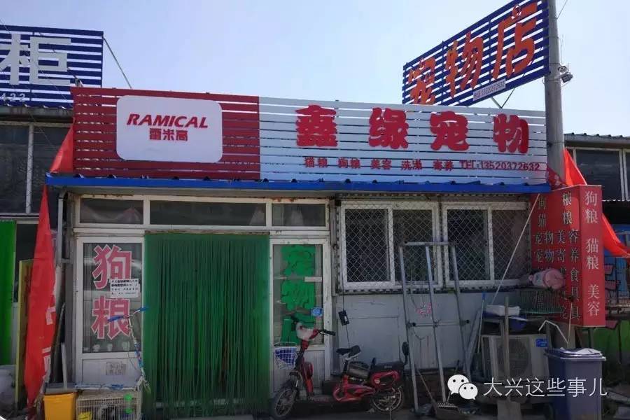 采育开发区最新招聘，科技前沿引领未来生活新纪元启航点
