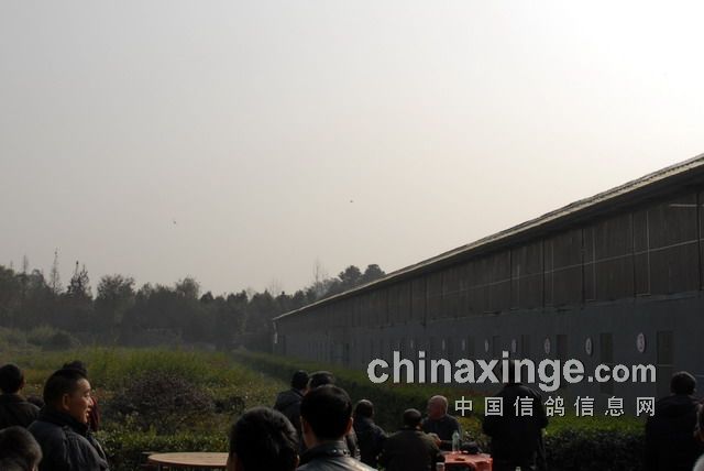成都国奥公棚最新动态更新
