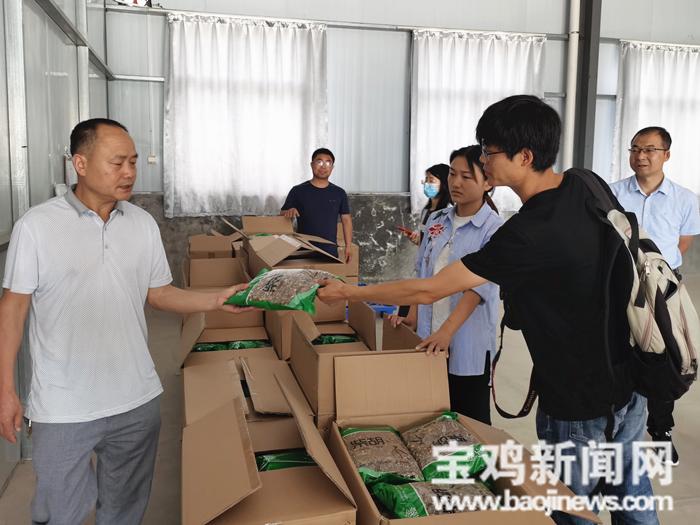 陈仓区周原镇最新规划揭秘🌟