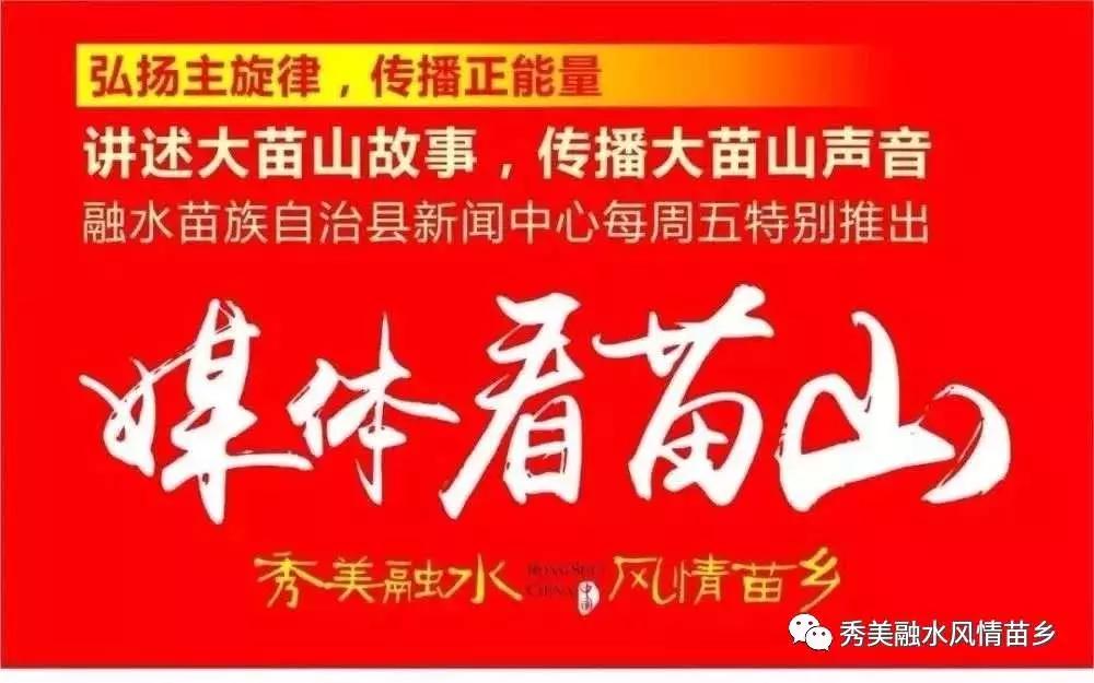 最新疫病动态，变化中的学习，力量与笑声的交织