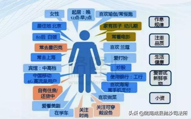 2024新澳精准正版资料,数据引导执行策略_智慧版94.239