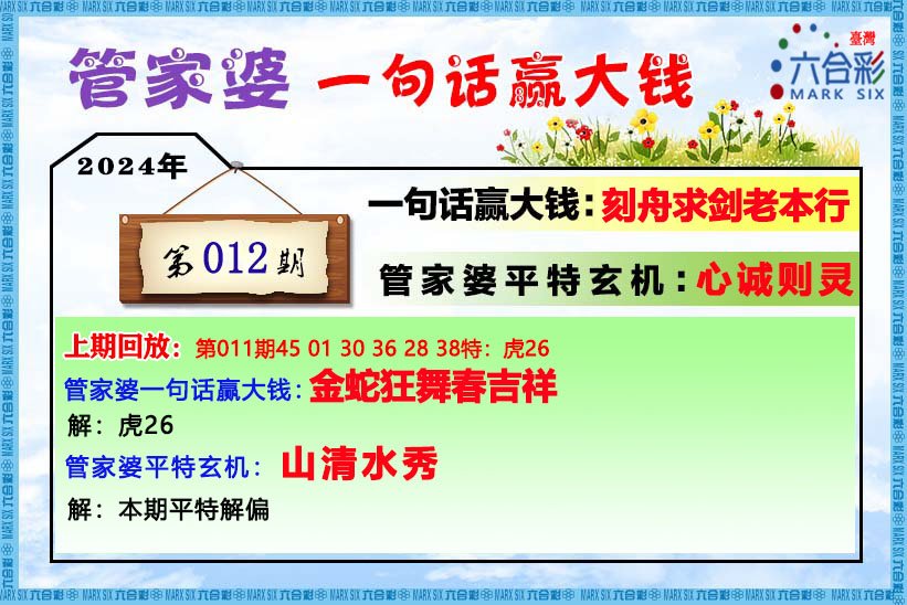 管家婆精准资料免费大全香港,专家解说解释定义_生活版80.495
