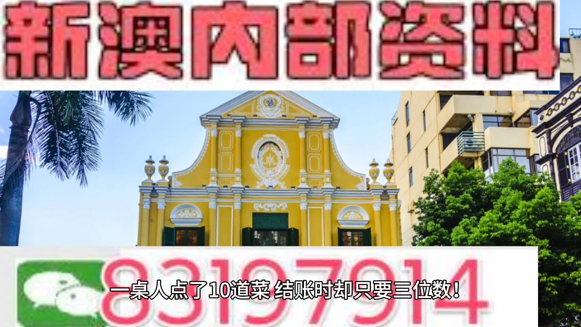 新澳2024年精准资料32期,专家解说解释定义_后台版66.103