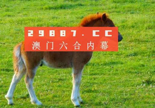 新澳门一肖一码中恃,最全面试解答答案_儿童版90.759