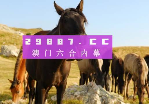 2024澳门管家婆一肖,最新答案诠释说明_多维版6.843