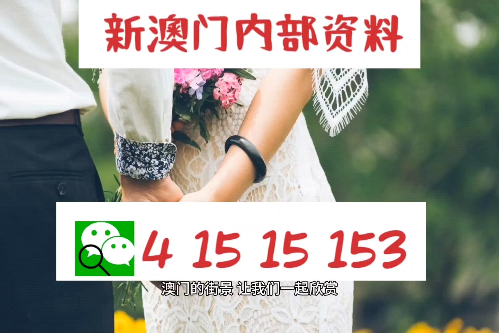 新2024澳门兔费资料,快速解决方式指南_冒险版12.529