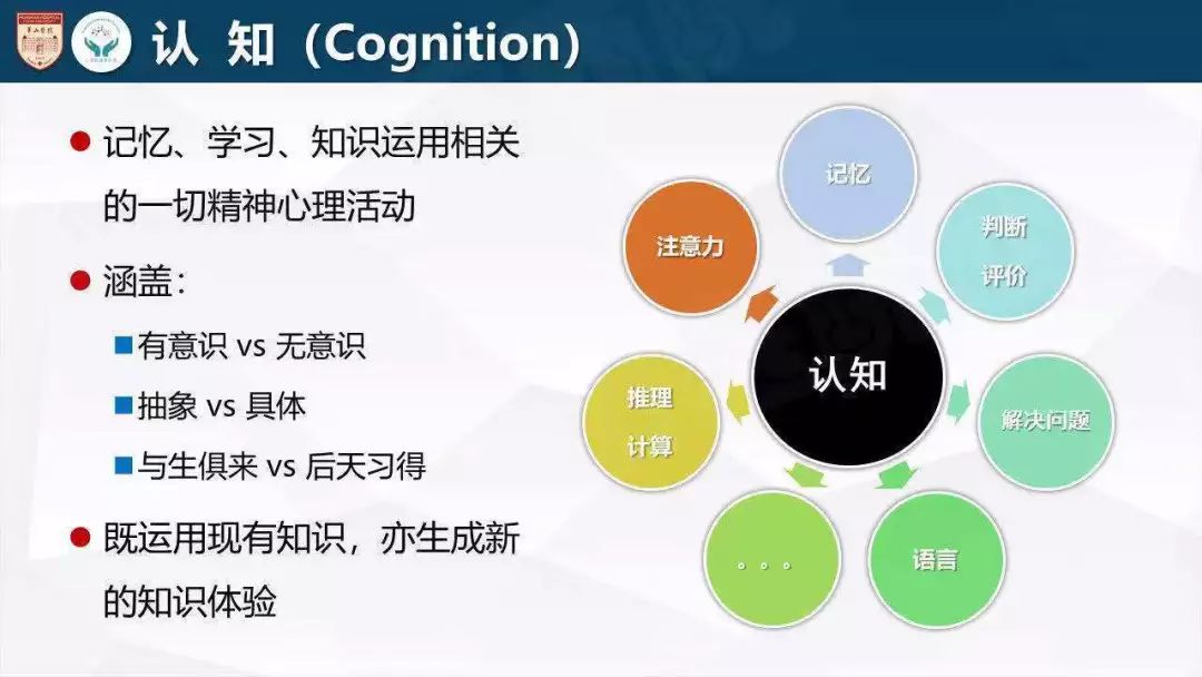 澳门天天彩期期精准,连贯性方法执行评估_感知版10.760