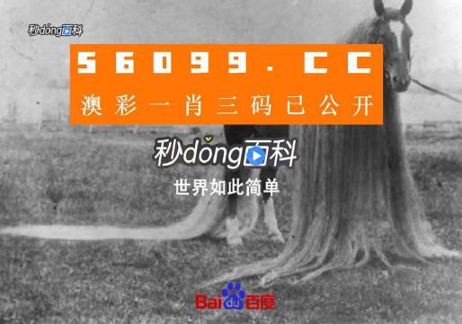 澳门必中一一肖一码服务内容,快速处理计划_精致版41.186