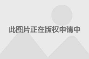 乐视超级汽车最新进展更新