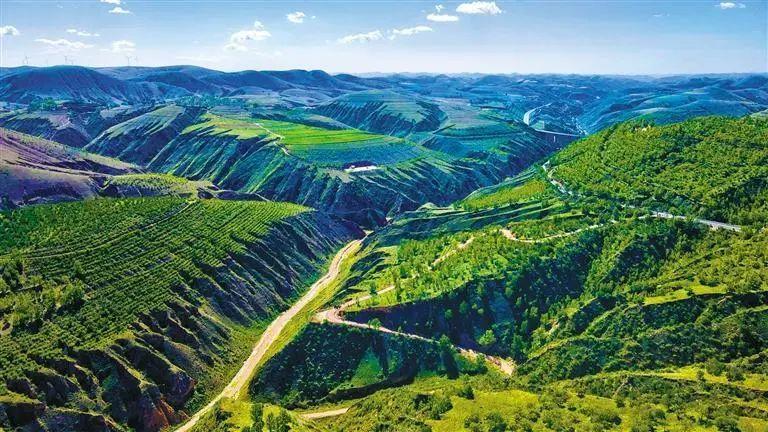 榆林最新浪潮，深度探究背景、事件与地位